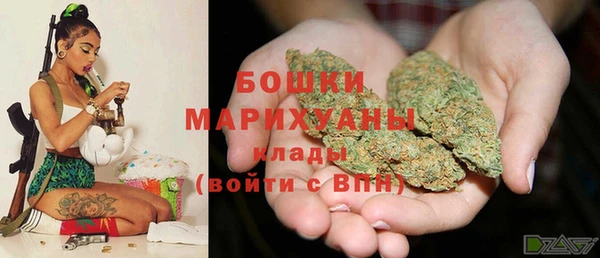 apvp Белокуриха