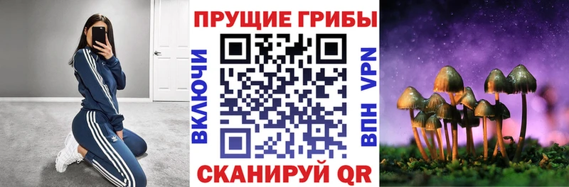 Псилоцибиновые грибы GOLDEN TEACHER  Вуктыл 